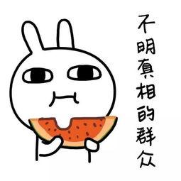 娱乐吃瓜酱涨知识,跟随娱乐吃瓜酱涨知识之旅